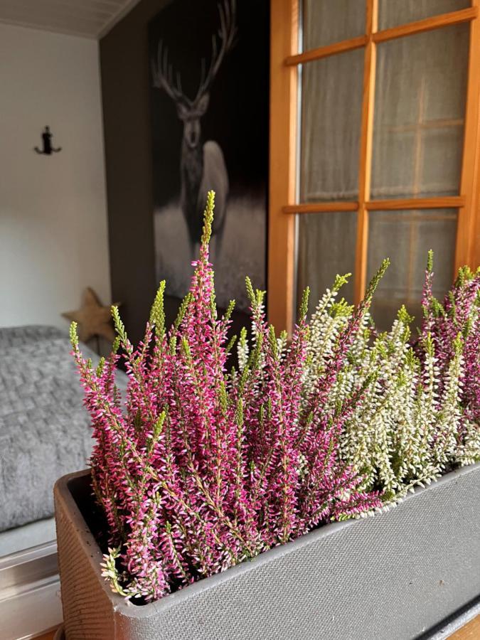 Chalet Apartment Serenity Lodge ชาร์มมี ภายนอก รูปภาพ